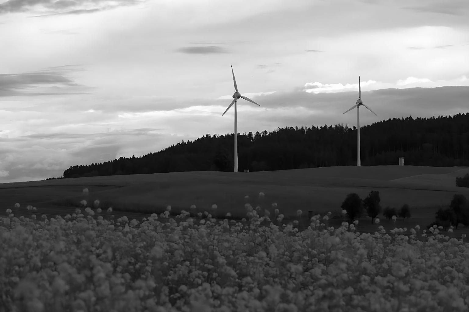 Installation de distribution thermique dans bâtiment résidentiel